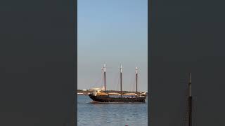 Tour boat watching from downtown Halifax NS Canada sailing boats shorts [upl. by Suzetta]