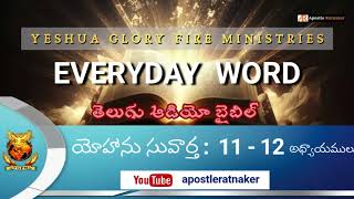 John 11  12  యోహాను  Telugu Audio Bible  5th Nov 2024 [upl. by Cinom]