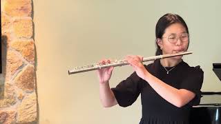 Flute Concerto in E Minor by Saverio Mercadante [upl. by Bowes228]