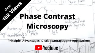 Phase Contrast Microscopy [upl. by Aciret177]