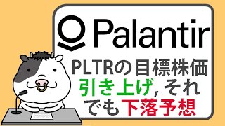 パランティア株の目標株価が引き上げられる。なぜアナリストは、依然として株価が下落すると見ているのか【20241017】 [upl. by Pitarys241]