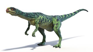 Chilesaurus Dinosaur [upl. by Elvia]