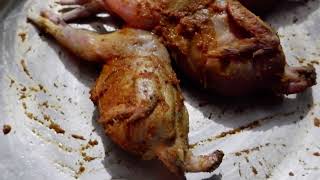 Bater Bird Rosted Recipe in Hindi [upl. by Maxwell645]