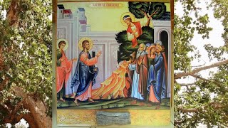 15th Sunday of Luke Saint Ephrem and Saint Isaac the Syrian 28012024 [upl. by Nabe93]