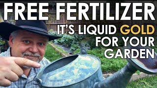 FREE Liquid Fertilizer for your Garden  Black Gumbo [upl. by Nylaehs]