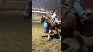 Love the Christmas Tree drill 😂🎄 horse fypシ゚ equestrian equestriantraining horseriding [upl. by Aihsekyw962]