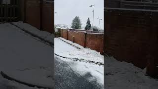 Snowing in UK❄️ snow snowing snowinuk uksnow [upl. by Nissa]