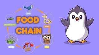 Food Chain class4 generalknowledge science [upl. by Aneelahs]