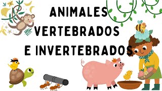 Animales vertebrados e invertebrados  EducaMundo [upl. by Llennej]