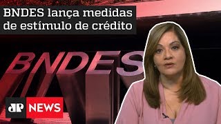 Denise BNDES lança medidas de estímulo de crédito [upl. by Arretak]