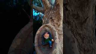 Ze great gNome JérOme gnomes gnome gnomediy gnomesgarden gnomelife gnomed treetrunks [upl. by Hasheem]