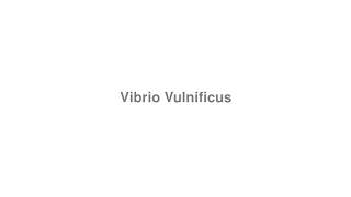 How to Pronounce quotVibrio Vulnificusquot [upl. by Oram812]