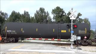 CR 658 Railroad Crossing near Notasulga AL [upl. by Marlene404]