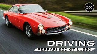 FERRARI 250 GT LUSSO  GTL  GTL  Berlinetta 1964  Driving the 250GT V12 in top gear  SCC TV [upl. by Kaslik928]