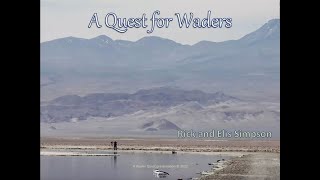 A Quest for Waders with Rick and Elis Simpson [upl. by Akemej453]