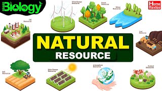 Natural Resource  Types of Natural Resources  Renewable amp NonRenewable Resources [upl. by Lahcim342]