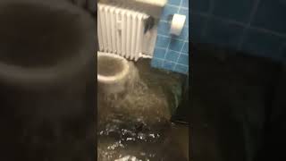 Rainwater floods house through toilet in Bad Wildungen Germany [upl. by Nylknarf]