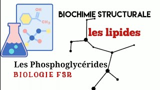 Cours Biochimie structuralePhosphoglycéridesPhospholipidesPropriétés chimiquesEther lipidesS3 [upl. by Glynas15]