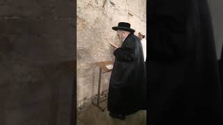 Rachov Rebbe Davening At The Kosel  Tammuz 5784 [upl. by Taveda]