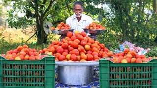 Tomato Rice Recipe  Simple and Easy Tomato Rice By Grandpa Kitchen [upl. by Thomasa]