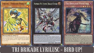 Tri Brigade Deck  Lyrilusc Bird Up ALL OF THE COMBO [upl. by Brendin925]