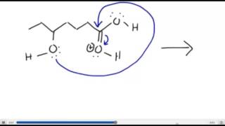 Intramolecular Esterification Lactone [upl. by Carlina]