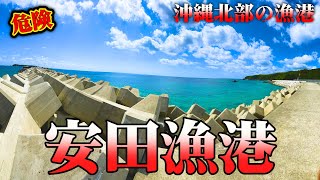 安田漁港【沖縄北部の漁港】 [upl. by Azial]