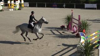 Timon dAure et Alexis Deroubaix  Vainqueurs GP CSI2 de SaintLô [upl. by Ydennek428]