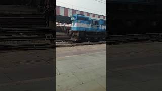 Diesel Locomotive 11353♥️🎉 bihar patna shorts youtubeshorts video trending railway ytshorts [upl. by Eitnom824]