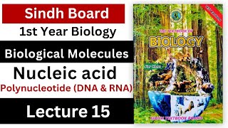 Polynucleotide  DNA and RNA  nucleic acid  biological molecules  class 11 biology Sindh [upl. by Uthrop577]