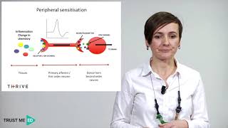 What is peripheral sensitization [upl. by Carolin]