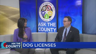 Ask the County Dog licenses [upl. by Ayihsa]