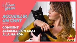 Nos astuces pour bien accueillir un chat à la maison 😺🏠 [upl. by Ynabla]