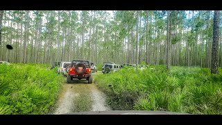 2020 May Off Roading Adventure in Osceola National Forest [upl. by Eenet818]