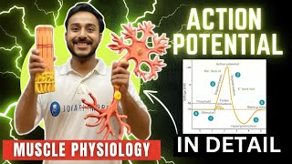 action potential physiology in hindi  ionic basis of action potential in skeletal muscle physiology [upl. by Patience]