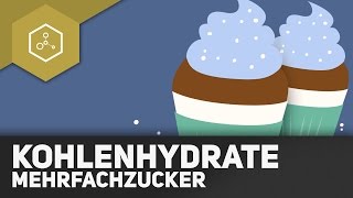 Kohlenhydrate  Mehrfachzucker [upl. by Ahtamat]