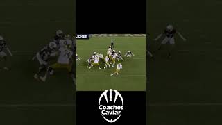 Game Winning Touchdown Run for Notre Dame [upl. by Asyla]