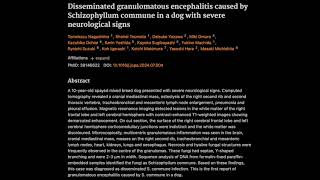 36 Disseminated granulomatous encephalitis caused by Schizophyllum commune [upl. by Arbuckle]