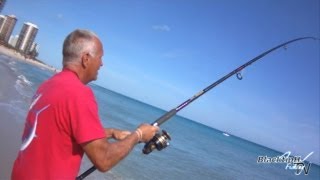 Blacktip Shark Caught from Shore [upl. by Litman]