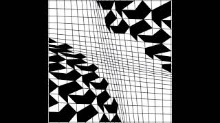 Franco Grignani study of distorted grid sequence of 1991 [upl. by Anonyw]