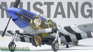 Eduards Brand New P51B Mustang  Full Build  4K [upl. by Amzu]