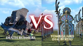 WARHAMMER III Total War  Death Runners VS Tomb Guard Halberds [upl. by Tellford]