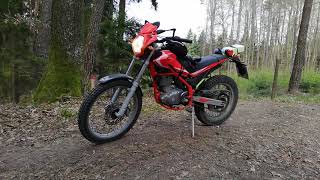 Motorrad  Motorcycle 🔥 Beta Alp 200 on Tour 20190414 im Wald 2 [upl. by Ahcilef462]