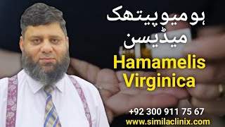 Hamamelis Virginica Homeopathic Remedy اردو  हिन्दी  Dr Ahmed Ejaz Official [upl. by Gennie]