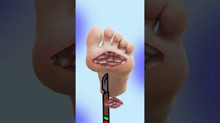 ASMR Foot Care asmrvideo animation [upl. by Marquita]