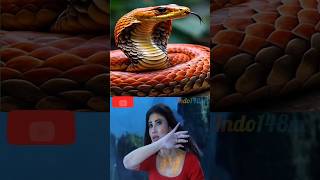 NAAGIN vs NAAGIN 6🐍🐍🐍💝💖💗💓 shorts [upl. by Severn]