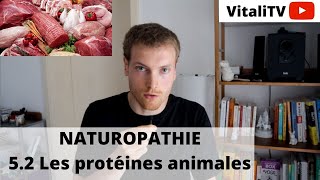 COURS NATUROPATHIE 52 PROTÉINES ANIMALES ET VIANDES [upl. by Akerdnahs370]