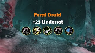 The Underrot 23  Feral Druid  DF Season 2 [upl. by Rivkah]