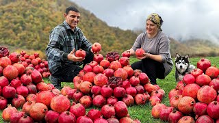 Pomegranate Jam and Fried Fish in the Mountains The Variety Of Tastes Of Nature [upl. by Bergstein]