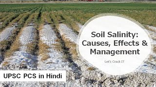 What is Soil Salinization Causes Impact Management Prevention of Saline soil  UPSC PCS in Hindi [upl. by Jamnis]